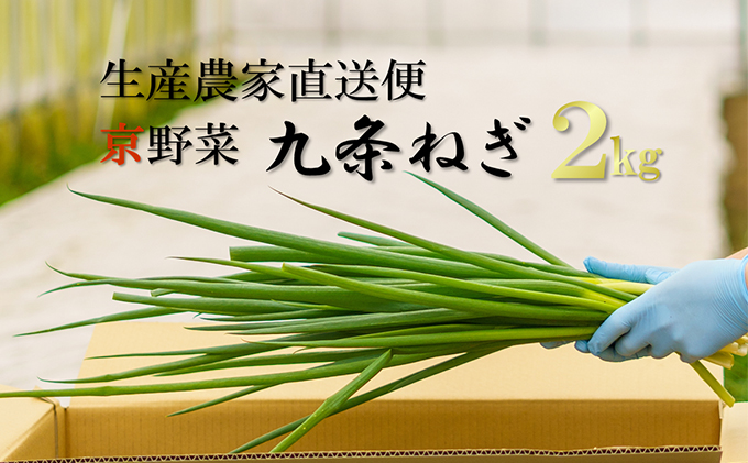 【京都府宇治田原町】生産農家直送 京野菜・九条ねぎ2kg〈ねぎ ネギ 葱 九条ねぎ 京野菜 京都 新鮮 甘い 農家直送 野菜〉