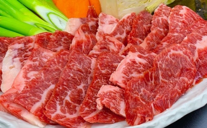 焼肉セット 炭火 牛肉 あか牛 600g 熊本県産 GI認証取得 くまもと 赤牛 熊本 和牛 肥後 焼き肉用 切り落とし 配送不可:離島 お肉 