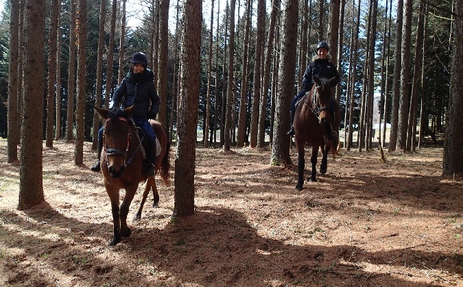 まきば軽井沢　4級乗馬ライセンス取得コース 体験チケット 