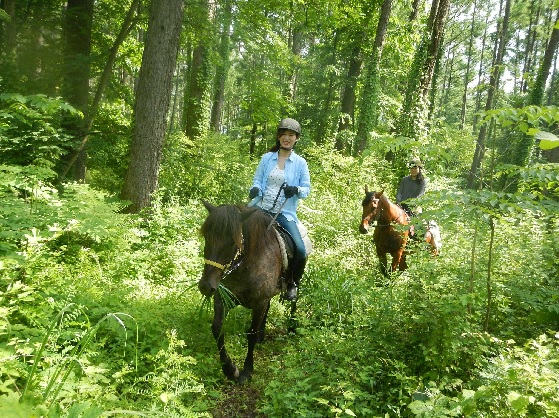 まきば軽井沢　4級乗馬ライセンス取得コース 体験チケット 