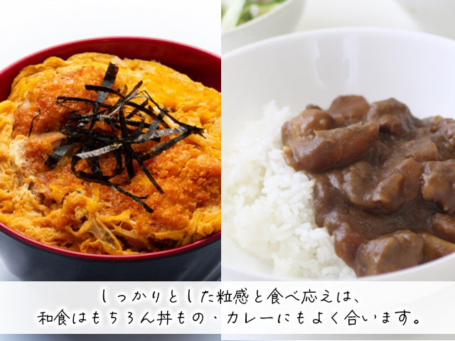 新米 令和7年産 まっしぐら 白米 5kg 1袋 米 精米 こめ お米