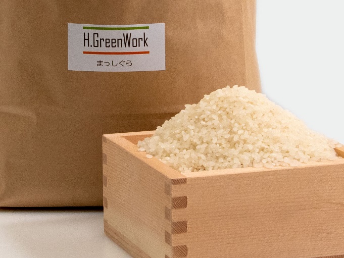 先行予約 新米 令和6年産 津軽のお米お試し セット 白米 2合 (約300g) 3袋 まっしぐら あさゆき はれわたり 米 精米 こめ お米 コメ 令和6年 食べ比べセット 食べ比べ 詰め合わせ 青森 青森県 鯵ヶ沢町 