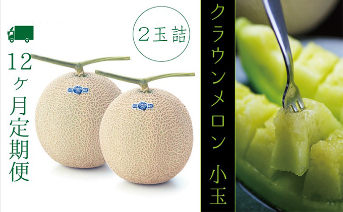 【静岡県袋井市】【12ヶ月定期便】クラウンメロン(白等級)小玉 2玉入 果物類 メロン青肉