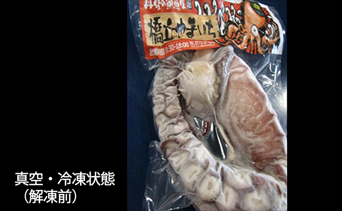 丸々太ったボイルタコ 1本 魚貝類 たこ タコ 茹で 刺身 たこ焼き 炒め物 酢の物 フライ 天ぷら 冷凍 日本海産 惣菜 日本酒 肴 珍味 ご飯のお供 日本酒 お取り寄せ 食品 食べ物 おつまみ 贈り物 プレゼント 家庭用 自宅用 送料無料 シーフード 