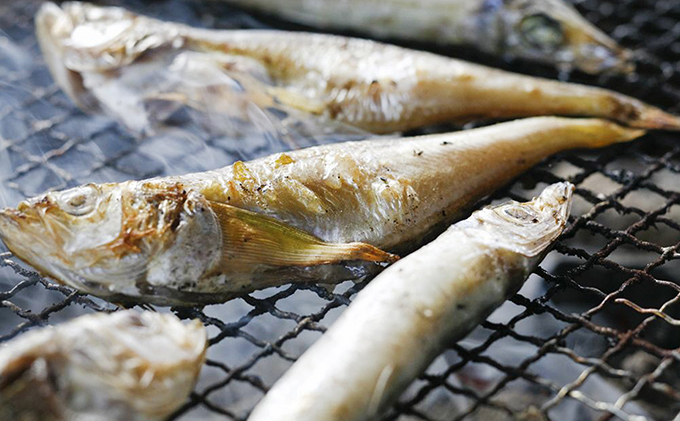 丸々太ったハタハタさん。ハタハタ 一夜干し 丸干し お取り寄せ 産地直送 食品 食べ物 おつまみ 魚貝類 干物 贈り物 プレゼント 家庭用 【※2025年4月中旬～順次発送】 
