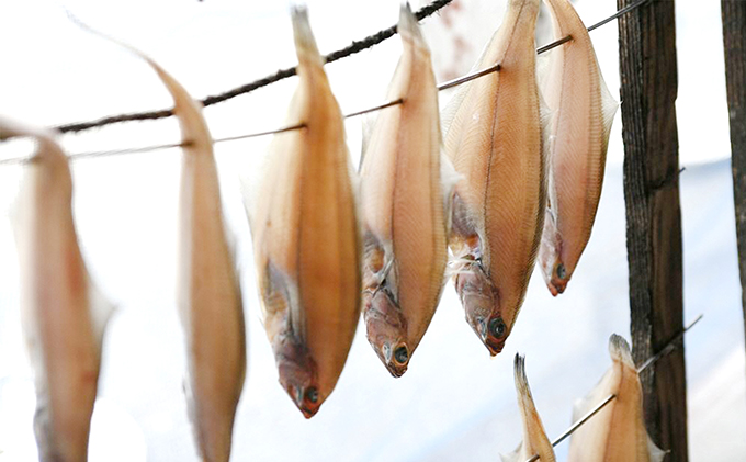 【ふるさと納税】旨みたっぷりエテカレイ (大 4匹) 魚貝類 魚 一夜干し エテカレイ 干物 ひもの セット 日本酒 肴 珍味 ご飯のお供 日本酒 