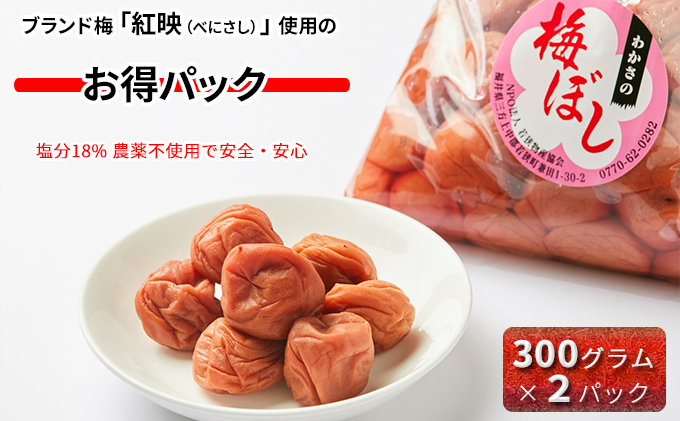 梅干し しそ入り 600g (300g×2袋) 若狭のすっぱい梅干し 紅映梅 うめ ウメ 梅 酸っぱい梅干し 昔ながらの梅干し 昔ながら うめぼし ご飯のお供 ごはんのお供 おにぎりの具 福井 福井県 若狭町