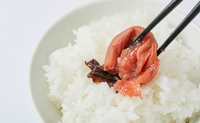 農薬不使用の梅干し（180g）すっぱい 甘くない梅干し 発酵食品 