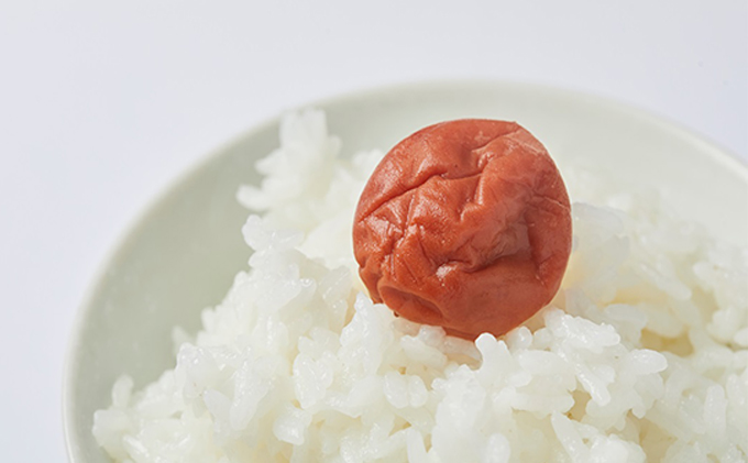 梅干し しそ入り 600g (300g×2袋) 若狭のすっぱい梅干し 紅映梅 うめ ウメ 梅 酸っぱい梅干し 昔ながらの梅干し 昔ながら うめぼし ご飯のお供 ごはんのお供 おにぎりの具 福井 福井県 若狭町