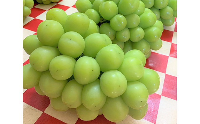 シャインマスカット 約5kg 6～8房 葡萄 フルーツ 岡山 高梁市産 こあに葡萄園 2026年 先行予約 果物類 ぶどう ブドウ 