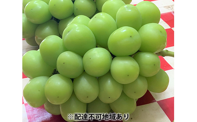 専用出品　岡山県産シャインマスカット3.0kg 贈答用】 岡山県産シャインマスカット 3房（1500g以上） | agrisfarm