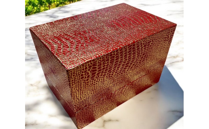 シャインマスカット 1房 700g以上 葡萄 フルーツ 岡山 高梁市産 こあに葡萄園 2026年 先行予約 果物類 ぶどう ブドウ 