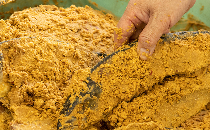 橋立やまいちサバへしこ 大2本セット 鯖 魚 魚介類 干物 さば さばのへしこ 米ぬか 郷土料理 伝統 ぬか漬け 糠漬け ヌカ漬け 魚貝類 加工食品 