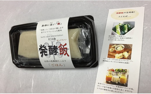 発酵飯10個【100g×10p】【AD24W】