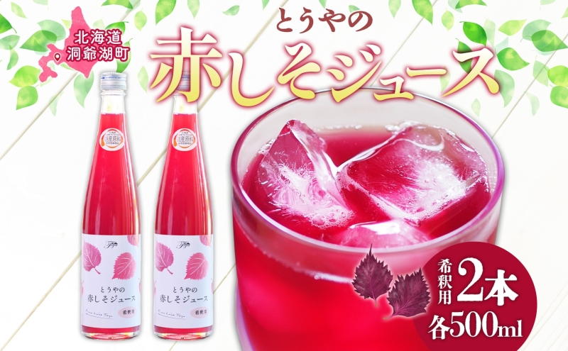 ykCΒzkC Ƃ Ԃ W[X ߗp 500ml×2{ V\  tԎh 3`4{ Zk __ l Yn sAt[YƂ  ʎ 
