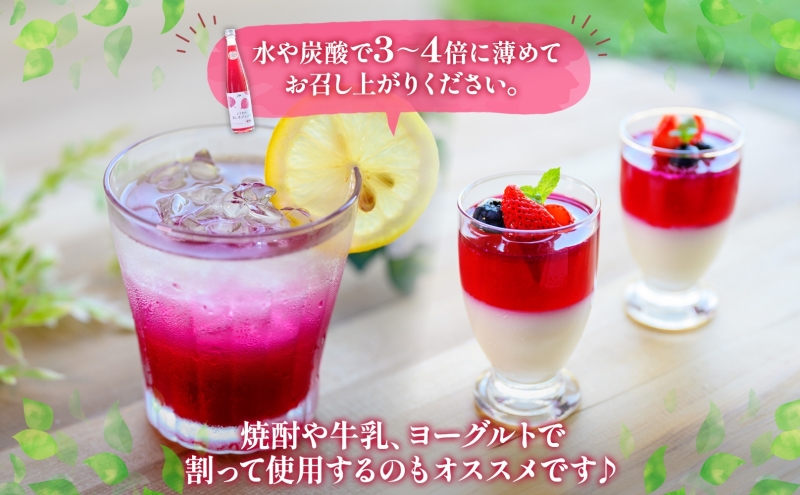 北海道 とうやの 赤しそ ジュース 希釈用 500ml×2本入り シソ しそ 大葉赤紫蘇 3～4倍 濃縮 契約農家 手詰み 産地直送 ピュアフーズとうや 送料無料 果実飲料 洞爺湖 