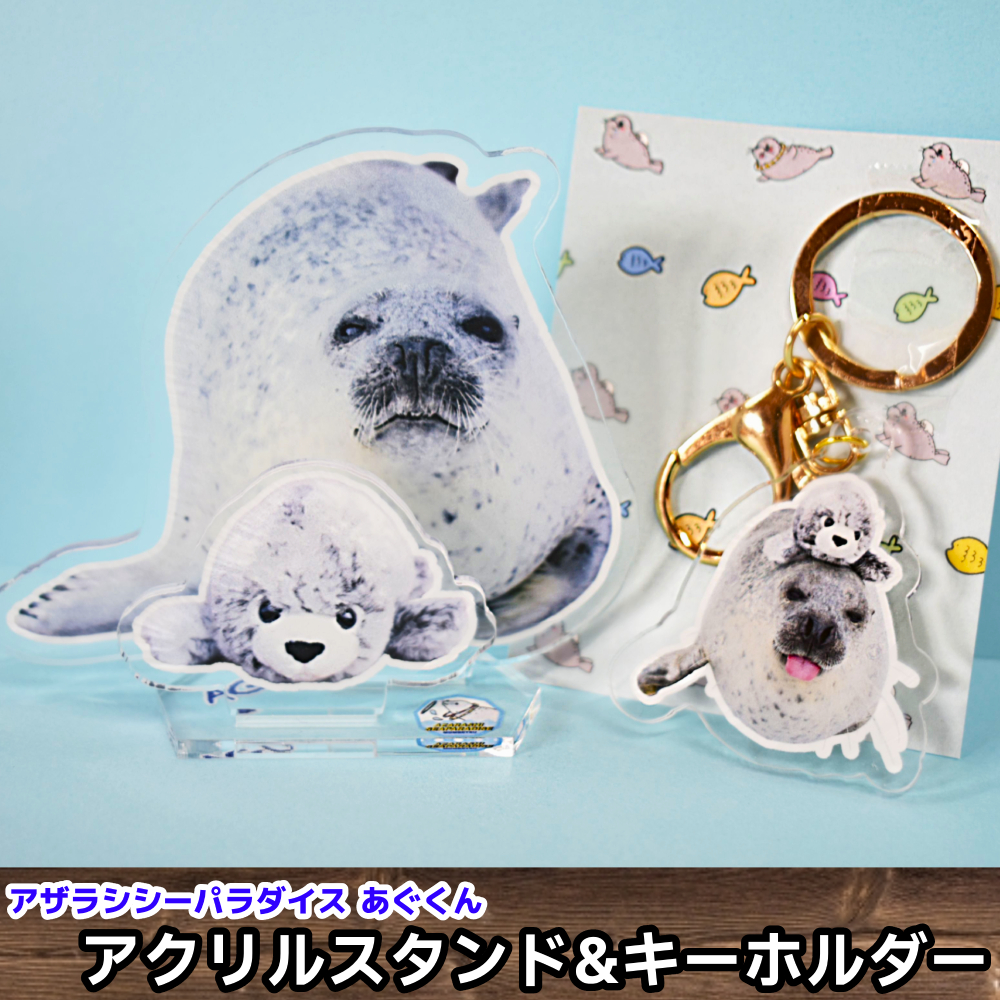 【北海道紋別市】10-502 あぐのアクリルスタンド・キーホルダー【アザラシシーパラダイスグッズ】