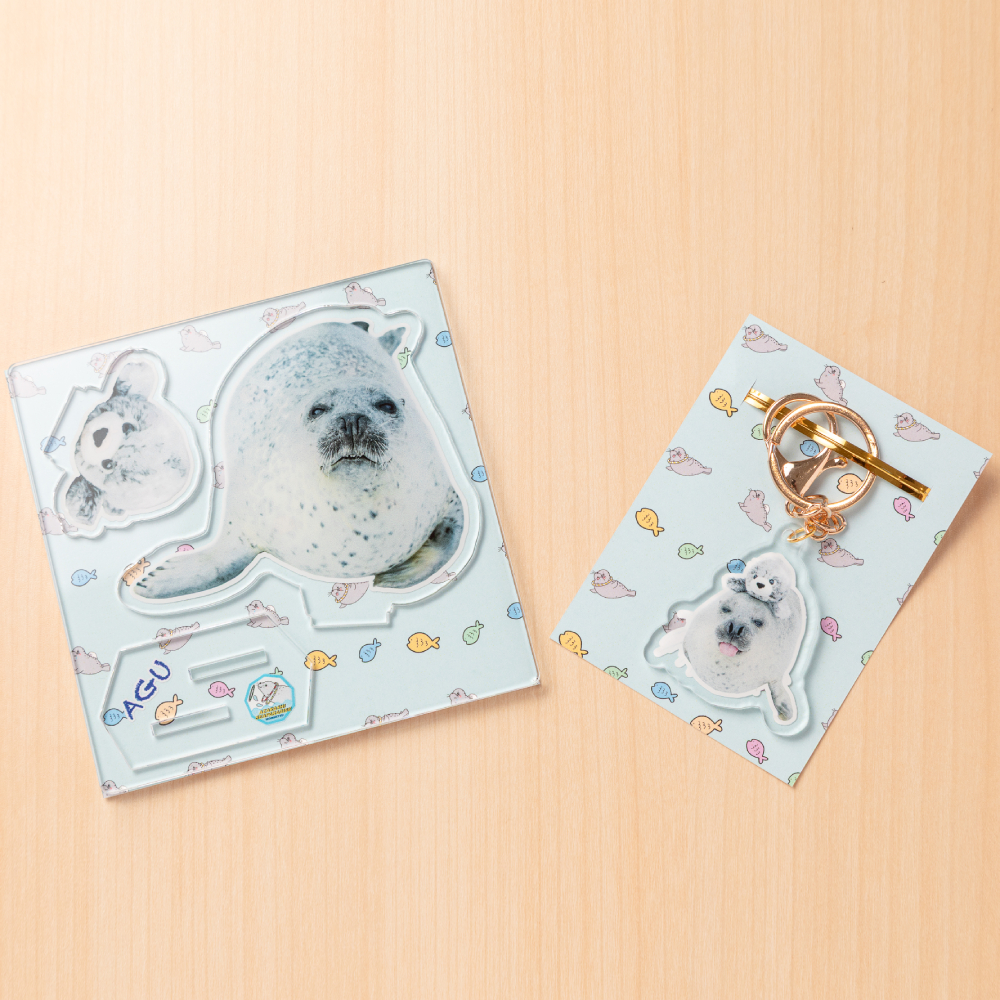 10-502 【年内配送12月15日入金まで】あぐのアクリルスタンド・キーホルダー【アザラシシーパラダイスグッズ】 within2025