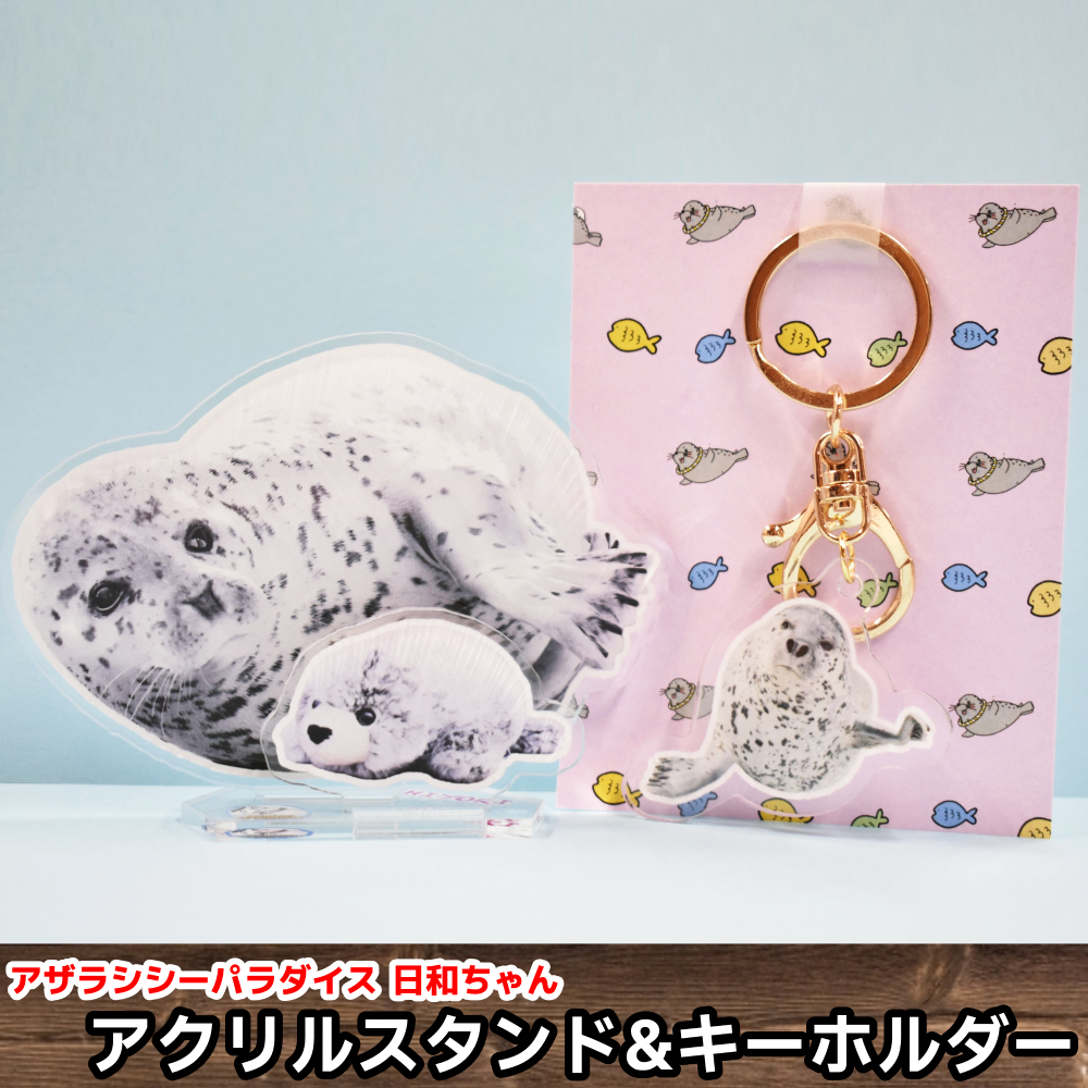 【北海道紋別市】10-503 日和のアクリルスタンド・キーホルダー【アザラシシーパラダイスグッズ】