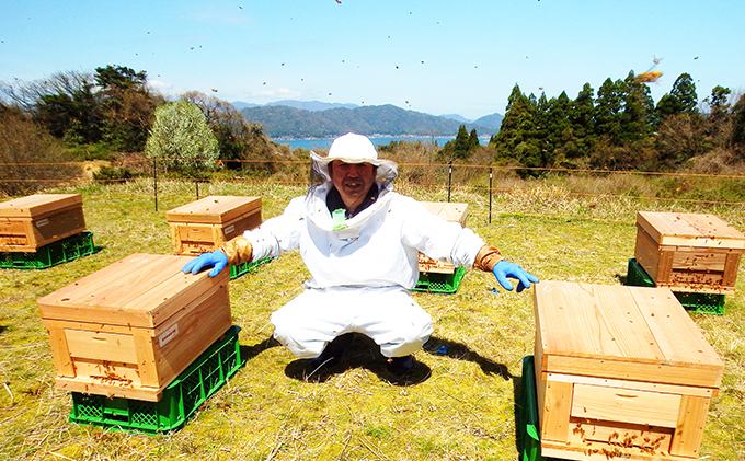 非加熱 の 生はちみつ　自然のままの品質を瓶詰めした、 100％ 天然 の 純粋蜂蜜 600g　はちみつ 蜂蜜 ハチミツ