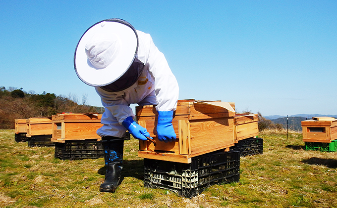 非加熱 の 生はちみつ　自然のままの品質を瓶詰めした、 100％ 天然 の 純粋蜂蜜 600g　はちみつ 蜂蜜 ハチミツ