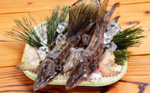 12-186 【年内配送12月15日入金まで】オホーツク八角丸干し1kg within2025