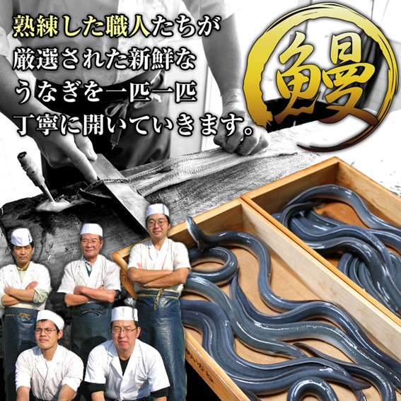 静岡県浜松市のふるさと納税 うなぎ 浜松 国産 鰻 蒲焼 15尾 (120g×15尾) 肝焼き 1袋 セット うなぎのあいかね 土用の丑の日 丑の日 国産うなぎ 浜松うなぎ 浜名湖うなぎ 肝 ギフト プレゼント 贈答 レンジ 調理 レンチン 蒲焼き 浜名湖 産地直送 冷凍 冷凍配送 静岡県 浜松市