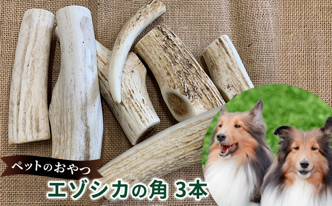 エゾシカ　鹿の角　工作　犬のおやつ ペットのおやつ【エゾシカ角】3本セット 北海道 南富良野町