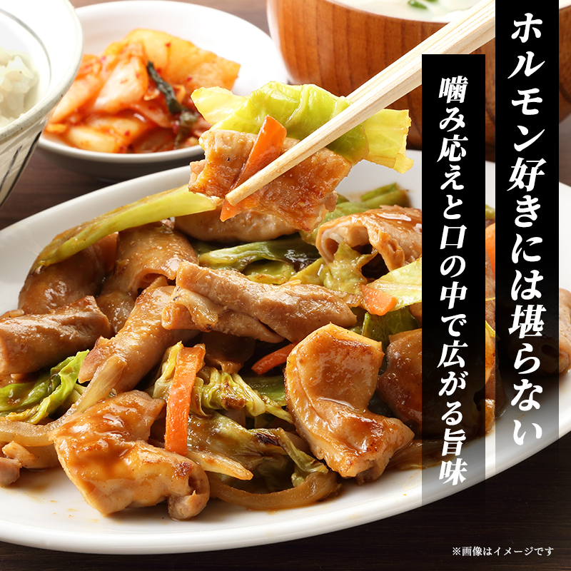 ホルモン とんちゃん 400g 5個 セット 詰め合わせ 河村商店 岩沼ホルモン 味付き肉 味付け肉 豚ホルモン 豚肉 豚 肉 お肉 焼き肉 焼肉 アウトドア キャンプ キャンプ飯 バーベキュー BBQ 宮城 宮城県 岩沼市