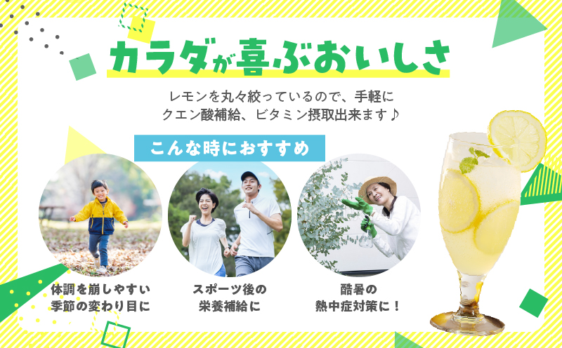 宮崎県日南市のふるさと納税 無添加 てんさい糖使用 数量限定 日南レモン シロップ 500ml 2本 セット れもん 檸檬 柑橘 ジュース フルーツ 果物 くだもの 飲料 飲み物 オリジナル ブレンド ホット アイス ソーダ割 レモンケーキ 国産 人気 おすすめ ギフト 贈り物 贈答 宮崎県 送料無料_CC70-25