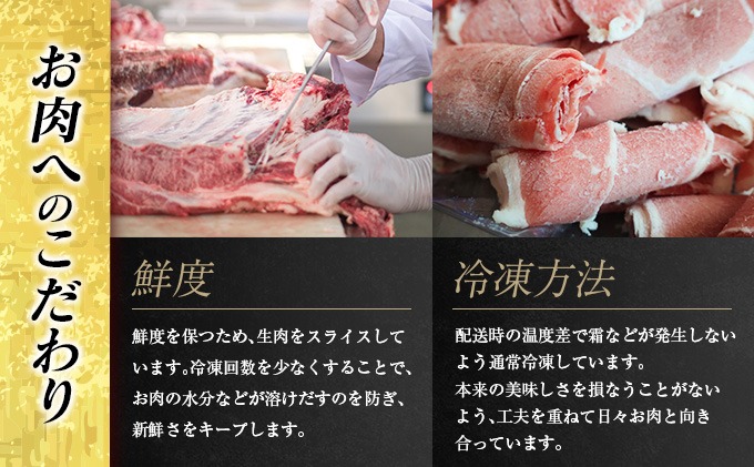 宮崎県日南市のふるさと納税 大人気 生冷凍 厳選 豚切り落とし 計3kg 国産 食品 豚肉 ぶた ポーク 小分け 個包装 真空パック 便利 大容量 生姜焼き 野菜炒め 豚汁 肉じゃが 豚丼 お弁当 おかず 晩ご飯 おすすめ 使い切りサイズ 万能食材 おすそ分け 宮崎県 日南市 送料無料_CB111-25-2W