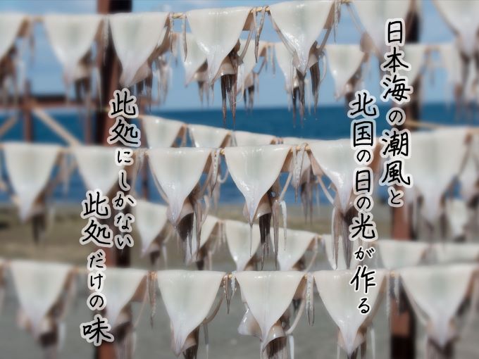 青森県鰺ヶ沢町　生干しイカ(2枚)と塩辛セット 魚貝類 加工食品 イカの塩辛 天日干し 