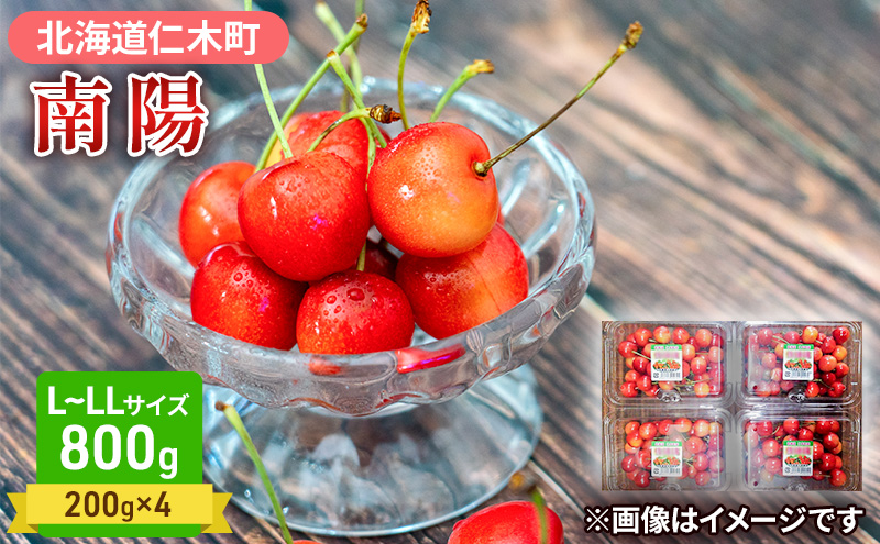 先行受付 さくらんぼ 南陽 800g（200g×4）L-LLサイズ混合  サクランボ チェリー フルーツ 果物 果物類  北海道 仁木町 仁木 [大塚農園]