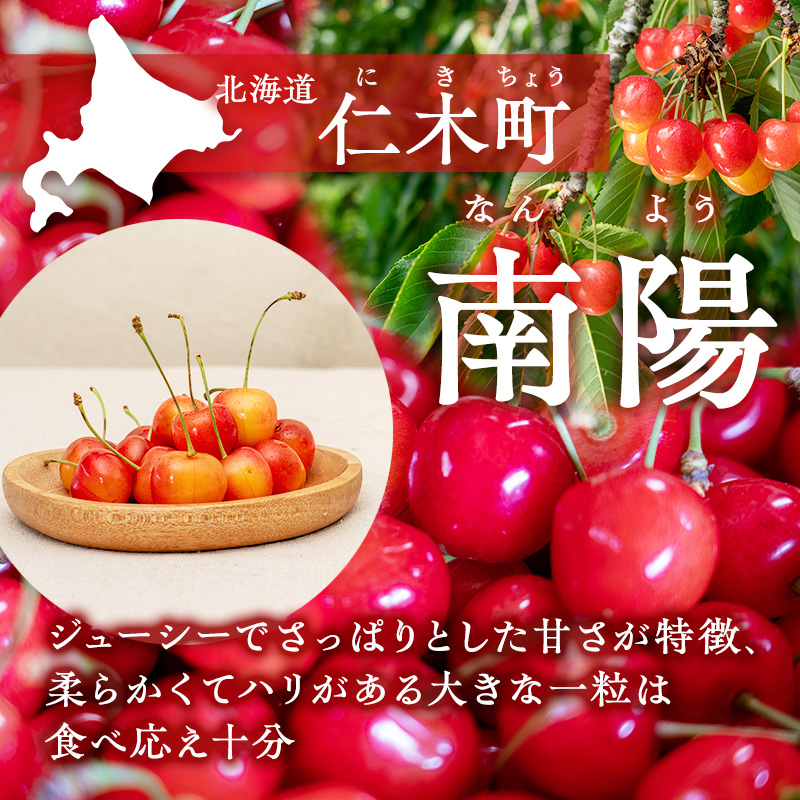 先行受付 さくらんぼ【 南陽 】800g（200g×4）L-LLサイズ混合  サクランボ チェリー フルーツ 果物 果物類 ギフト 北海道 仁木町 仁木 [横山農園]