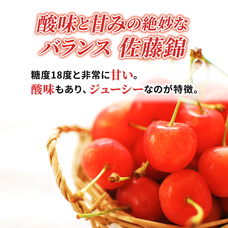 北海道仁木町のふるさと納税 先行受付 さくらんぼ 佐藤錦 800g（200g×4）M-Lサイズ混合  サクランボ チェリー フルーツ 果物 果物類  北海道 仁木町 仁木 [大塚農園]