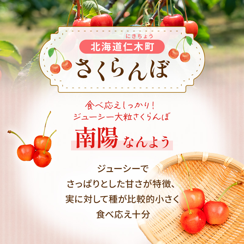 先行受付 さくらんぼ 南陽 800g（200g×4）L-LLサイズ混合  サクランボ チェリー フルーツ 果物 果物類  北海道 仁木町 仁木 [大塚農園]