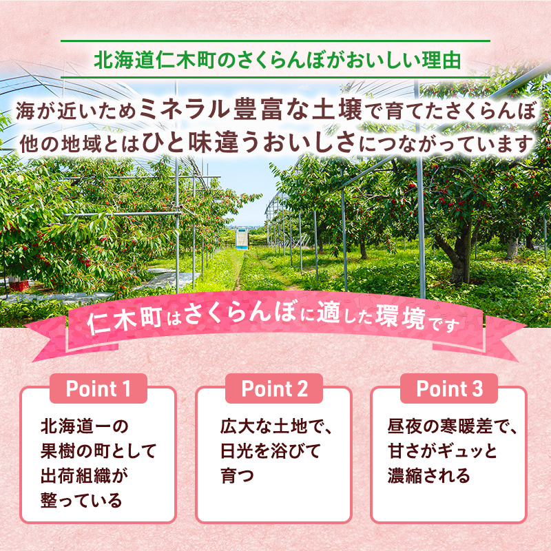 先行受付 さくらんぼ【 佐藤錦 】800g（200g×4）M-Lサイズ混合  サクランボ チェリー フルーツ 果物 果物類 ギフト 北海道 仁木町 仁木 [横山農園]