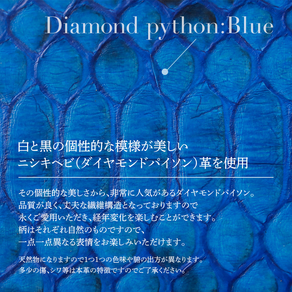 福岡県大木町のふるさと納税 マネークリップ（ダイヤモンドパイソン・ブルー）　BK001