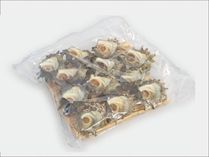 天然 サザエ 味付き 冷凍 約1kg 中12～14個入り 青森県西海岸産 貝 貝類 海鮮 海鮮セット 簡単調理 レンジ簡単調理 温めるだけ おかず おつまみ つまみ お酒のつまみ 酒のつまみ 青森 青森県 鰺ヶ沢町