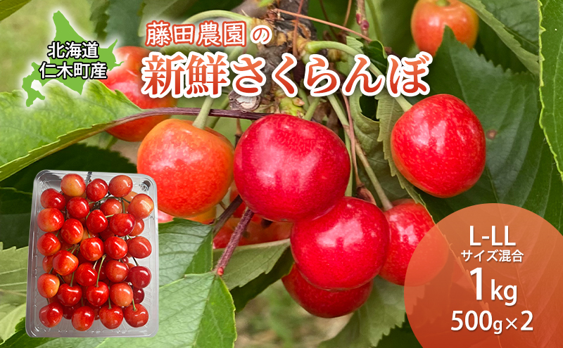 ほだ さくらんぼ Fruits Craft Cider サクランボサイダー / おいしい山形プラザWEB