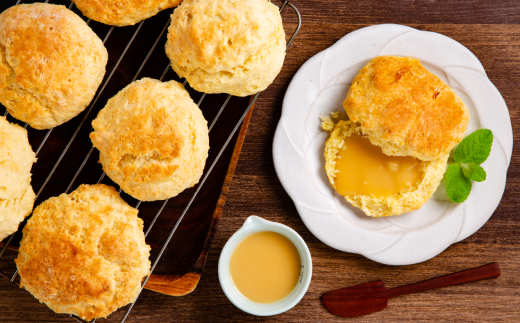 12-181 【年内配送12月15日入金まで】太陽牧場の無添加『ミルクジャム』と『ミルクソース「とろ～りミルク」』詰め合わせ within2025