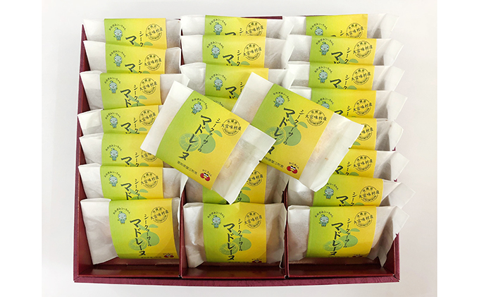 ymI]zV[N[T[̃}h[k َq XC[c Ăَq t[c mَq  yY Mtg k