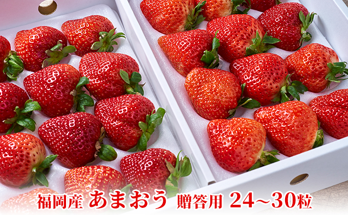 【福岡県朝倉市】いちご あまおう 贈答用 24〜30粒 福岡のいちご!苺 本来の酸味と甘み 配送不可 離島 果物類 イチゴ