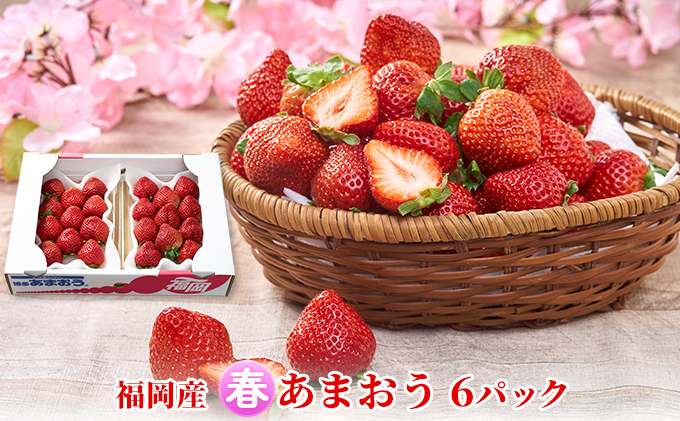 【福岡県朝倉市】いちご あまおう 6パック 1Pあたり約250g 福岡のいちご!苺 本来の酸味と甘み 春 配送不可 離島 果物類 イチゴ