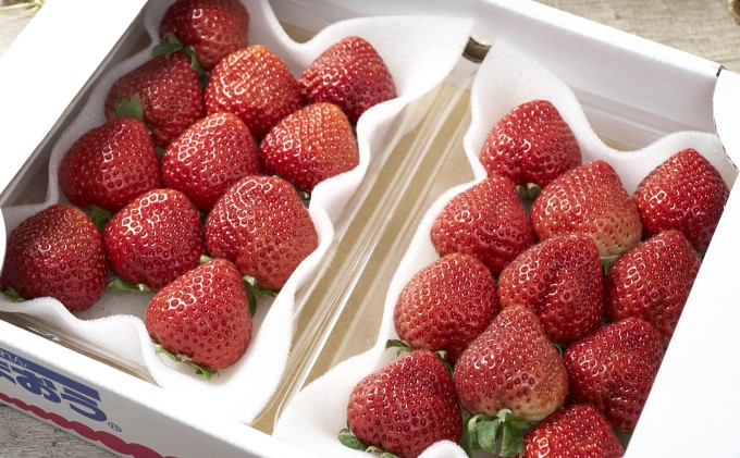 いちご あまおう 8パック 1Pあたり約250g 福岡のいちご！苺 本来の酸味と甘み 春 配送不可 離島 果物類 イチゴ 