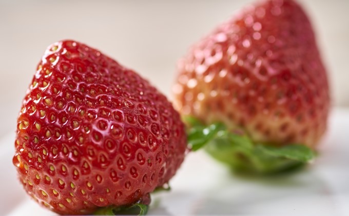 いちご あまおう 6パック 1Pあたり約250g以上 福岡のいちご 苺 本来の酸味と甘み 冬 配送不可 離島 果物類 イチゴ 