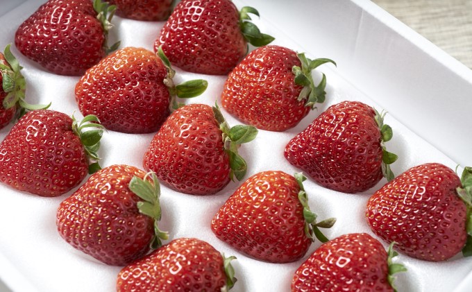 いちご あまおう 贈答用 12～15粒 福岡のいちご 苺 本来の酸味と甘み！ 配送不可 離島 果物類 イチゴ 