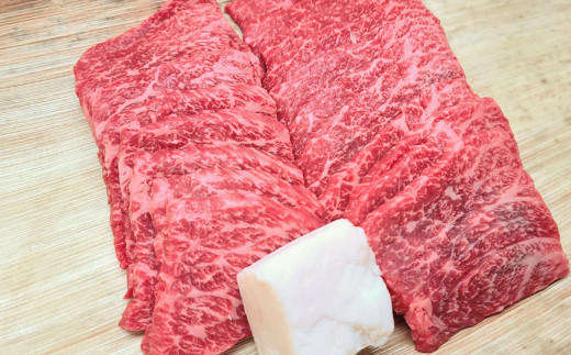 【総本家　肉のあさの】５等級近江牛焼肉用（もも・かた）【400ｇ】【AE11W】