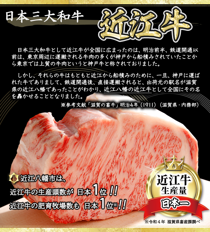 【総本家　肉のあさの】５等級近江牛焼肉用（肩ロース・バラ）【500ｇ】【AE12W】