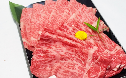 近江牛A5ランク　サーロイン・モモ　すき焼食べ比べセット【800g】【DG02W】